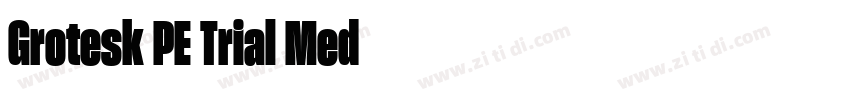 Grotesk PE Trial Med字体转换